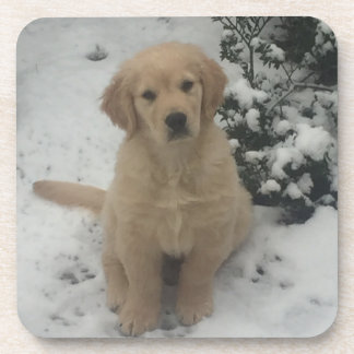 Untersetzer - Golden Retriever Puppy.