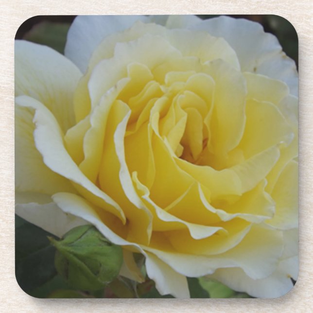 Untersetzer in Weiß und Gelb (Vorderseite)