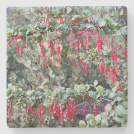 UNTERSETZER KALIFORNIEN: JANUAR