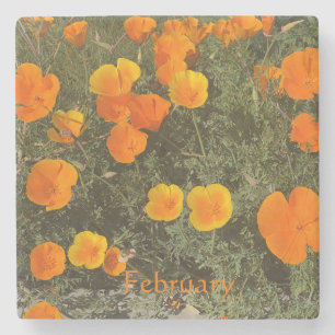 UNTERSETZER KALIFORNIEN: JANUAR STONE UNTERSETZER