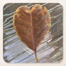 Untersetzer knackiges Blattherz in gepresstem Wass