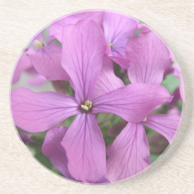 Untersetzer lila Wildblumen (Vorne)