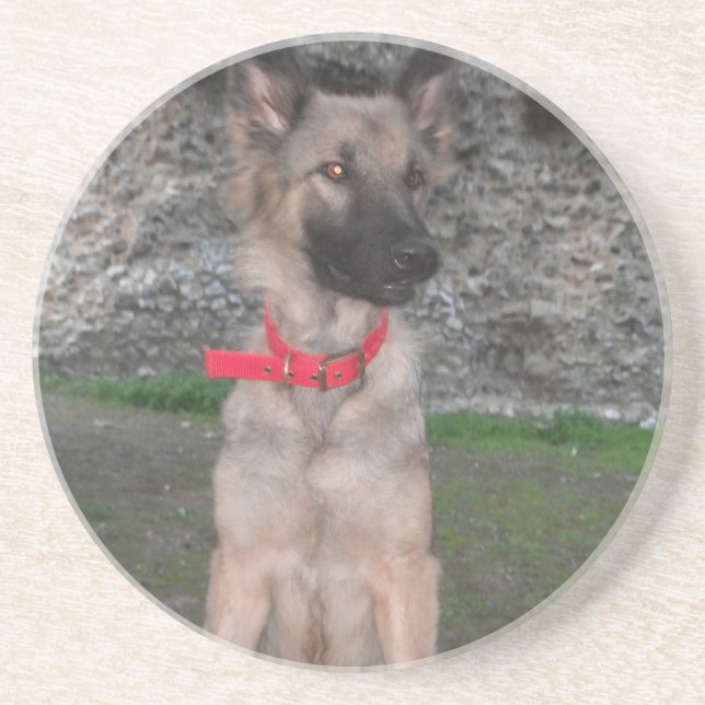 Untersetzer mit deutschem Schäferhund (Vorne)