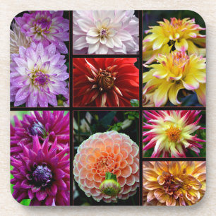 Untersetzer mit schönen bunten Dahlien