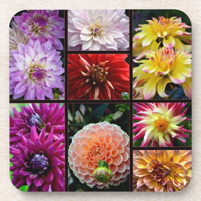 Untersetzer mit schönen bunten Dahlien (Vorderseite)
