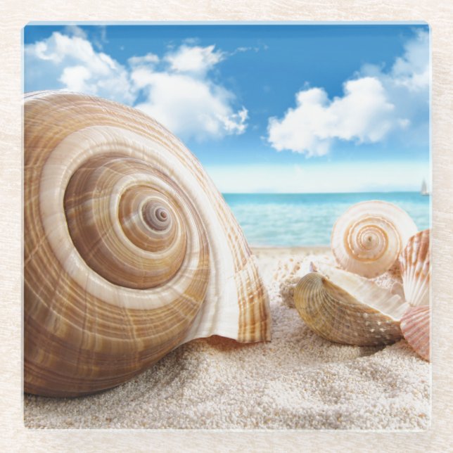 Untersetzer-Muscheln aus Glas Glasuntersetzer (Vorderseite)