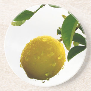 Untersetzer - nasse Zitrone