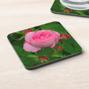 Untersetzer "PINK ROSE" (SET VON 6)