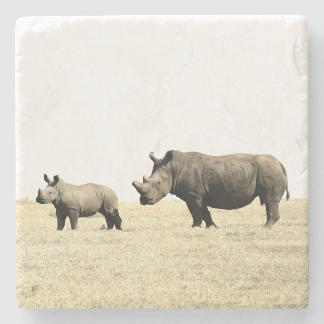 Untersetzer Rhino und Calf Stone (Vorderseite)