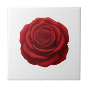 Untersetzer - Rote Rosenblüte