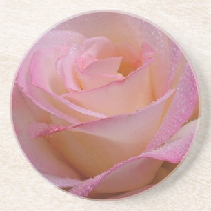 Untersetzer Schöne Rosa Rose