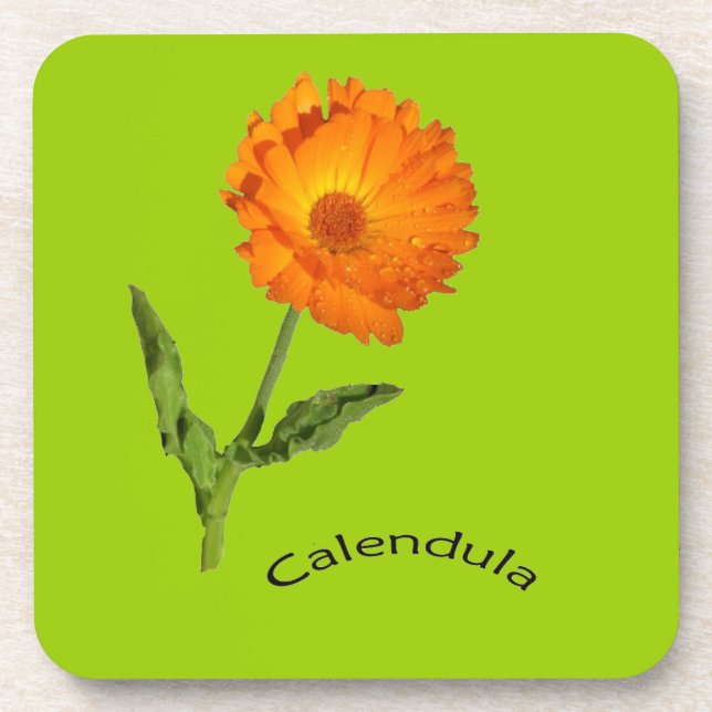 Untersetzer Set - Calendula (Vorderseite)