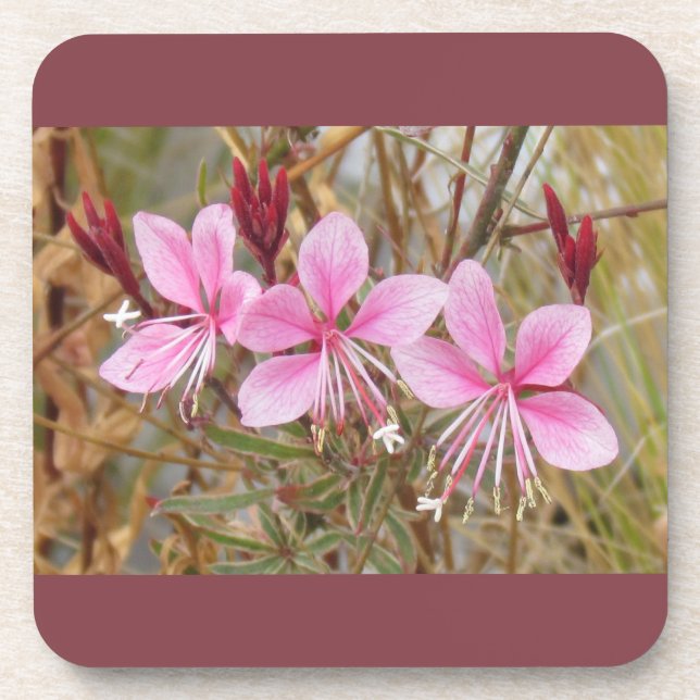 Untersetzer Set - Pink Guara (Vorderseite)