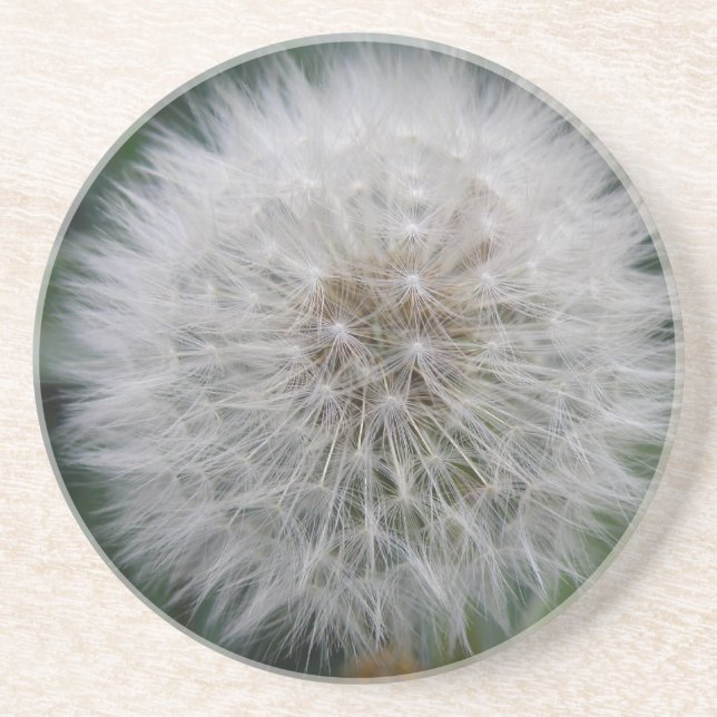 Untersetzer zur Blume von Dandelion (Vorne)