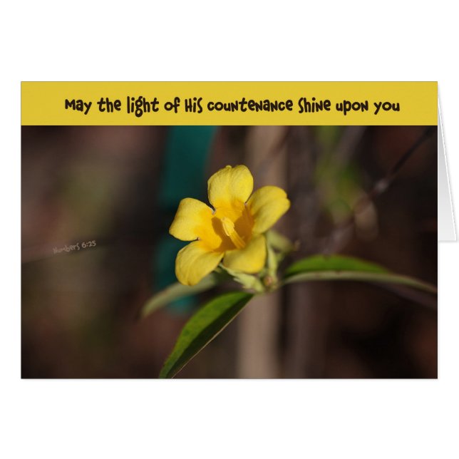 Unterstützung auf Carolina (Vorderseite (Horizontal))