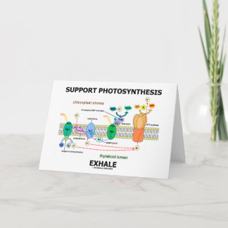 Unterstützung der Fotosynthese-Exhale (Biochemie-S Karte