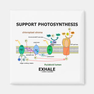 Unterstützung der Fotosynthese-Exhale (Biochemie-S Magnet