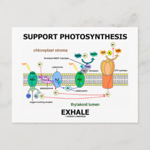 Unterstützung der Fotosynthese-Exhale (Biochemie-S Postkarte