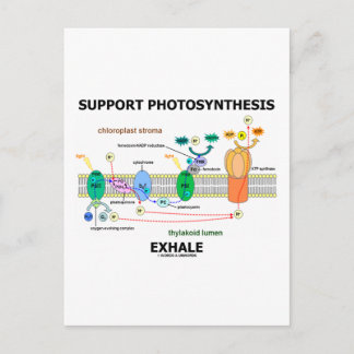 Unterstützung der Fotosynthese-Exhale (Umwelt) Postkarte