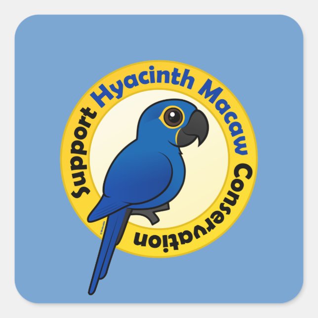 Unterstützung der Hyacinth Macaw-Erhaltung Quadratischer Aufkleber (Vorderseite)