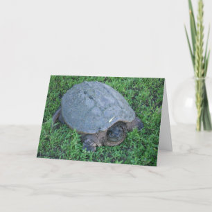 Unterstützung für über 70 Millionen Jahre Geburtst Karte