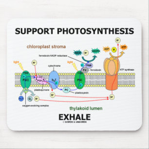 Unterstützung von Fotosynthese-Exhale (Biochemie- Mousepad