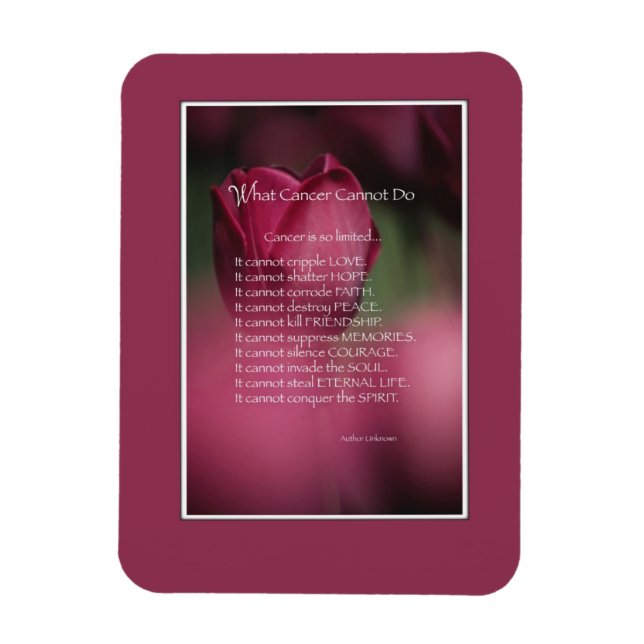 Unterstützung von Krebs, was Krebs nicht kann, Blu Magnet (Vertikal)