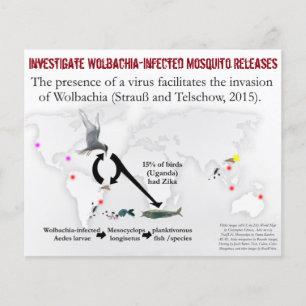 Untersuche Wolbachia 2-Sided Flyer von RoseWrites