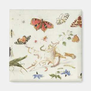 Untersuchung von Insekten und Blume Magnet