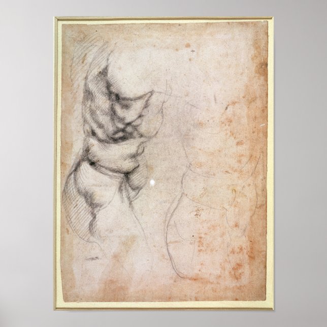 Untersuchung von Torso und Gesäß Poster (Vorne)