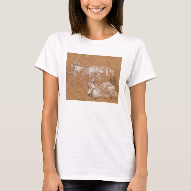 Untersuchung von Ziegen (zeichnend) T-Shirt (Vorderseite)