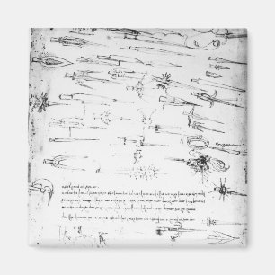 Untersuchungen von Fußsoldaten und Pferden in Magnet