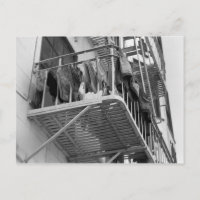 Unterwäsche zum Trocknen von Spaß Schwarzweiß-Foto