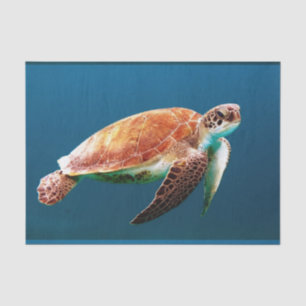 Unterwasser24 Seidenpapier