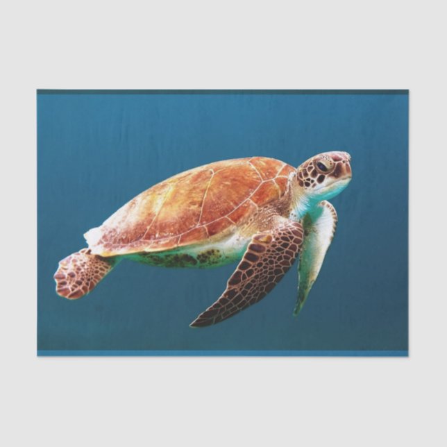 Unterwasser24 Seidenpapier (Vorderseite)