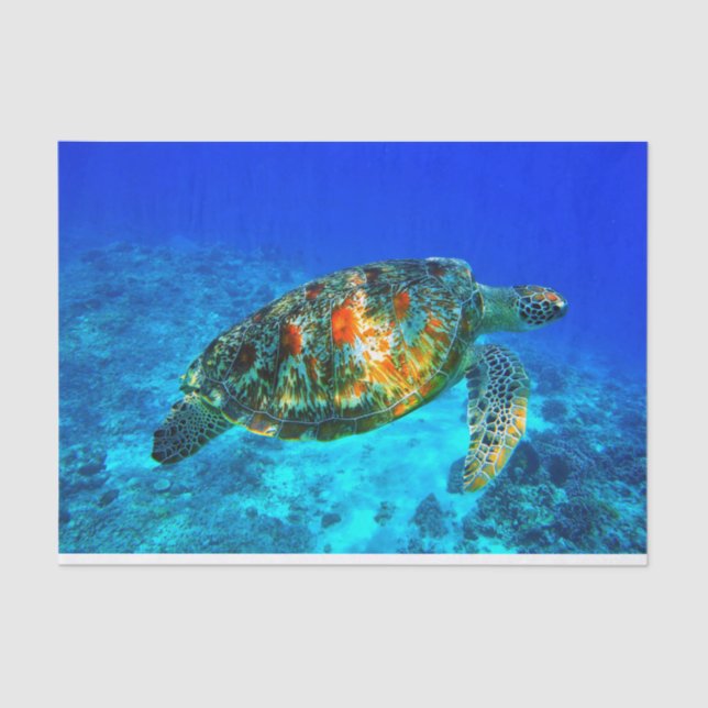 Unterwasser30 Seidenpapier (Vorderseite)