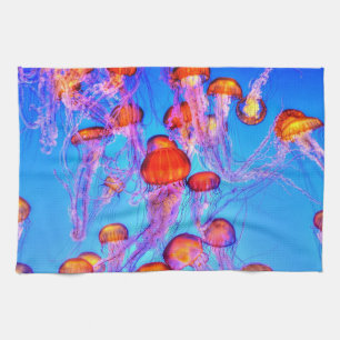 Unterwasser 22 Küchentücher