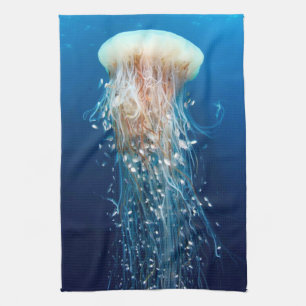 Unterwasser 31 Küchentücher