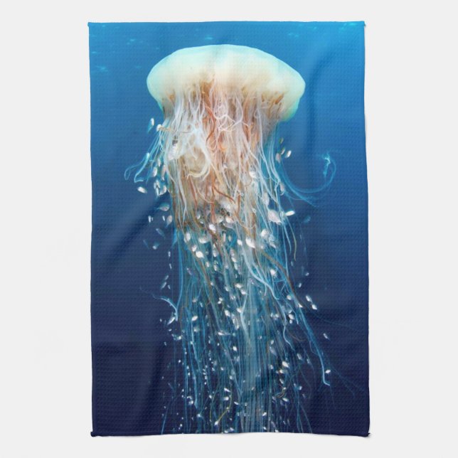 Unterwasser 31 Küchentücher (Vertikal)