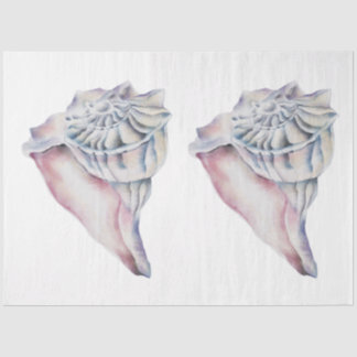 Unterwasser-Aquarell-Meeresschnecken-Serie Design Seidenpapier