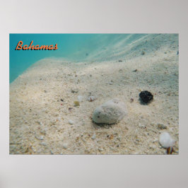 Unterwasser-Bahamas Poster