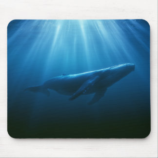 Unterwasser Buckelwal Mousepad