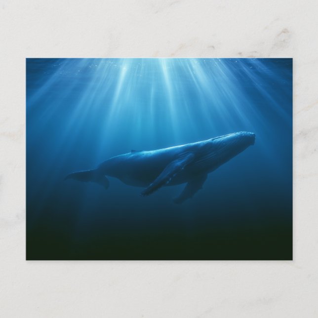 Unterwasser Buckelwal Postkarte (Vorderseite)