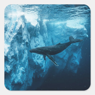 Unterwasser-Eisberg und ein Buckelwal Quadratischer Aufkleber