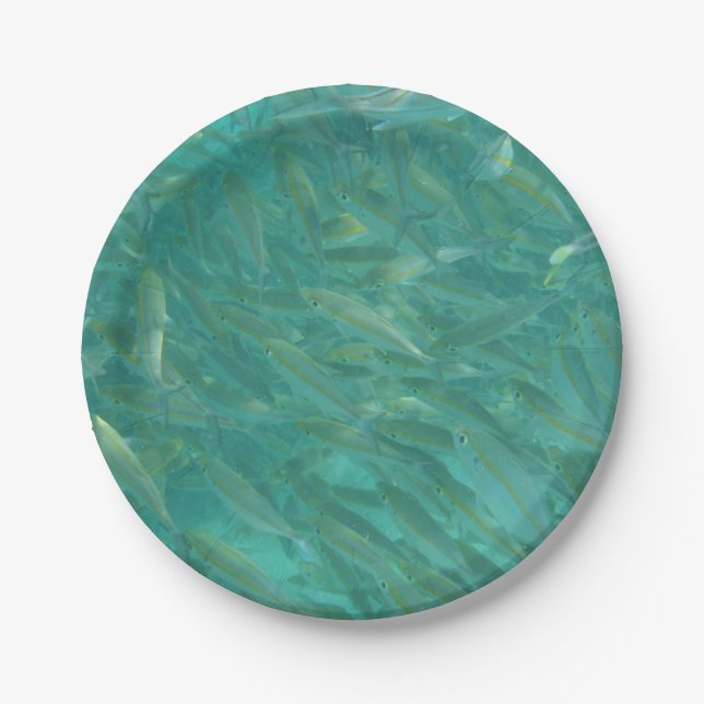 Unterwasser-Foto Pappteller (Vorderseite)