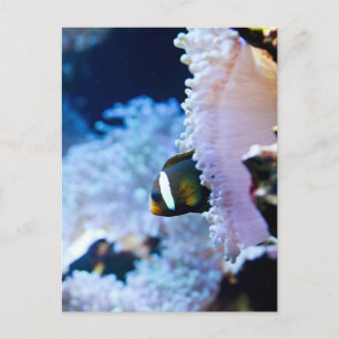 Unterwasser-Hintergrund Postkarte