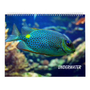 Unterwasser Kalender