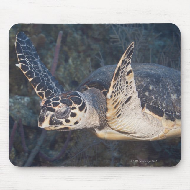 Unterwasser-Leben: Eine Hawksbill Sea Turtle 2 Mousepad (Vorne)