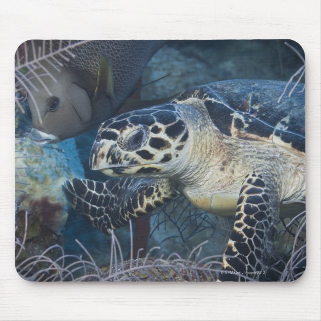 Unterwasser-Leben: Eine Hawksbill Sea Turtle Mousepad (Vorne)