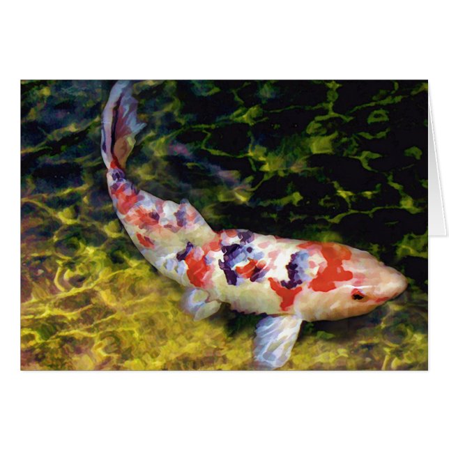 Unterwasser Sanke Koi (Vorderseite (Horizontal))